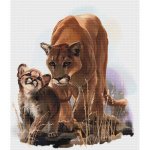 (image for) Cougars